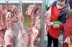 1月20日猪肉个位价 羊肉降至17元发生了啥市场怎样