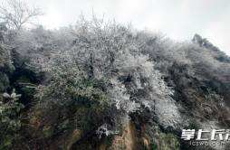 宁乡西部山区开始飘雪 各部门积极防范应对低温雨雪冰冻天气