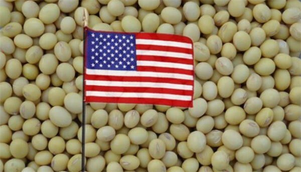 美国农业部公布中国采购近30万吨大豆