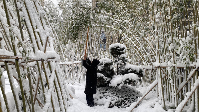 美的麓府物业人员在清理竹子上的积雪