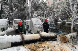 朝阳街道：党员干部齐上阵 吹响铲雪除冰“集结号”