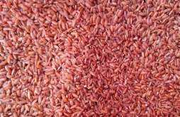 韩国粉红色牛肉大米 这种大米更有营养价值吗？