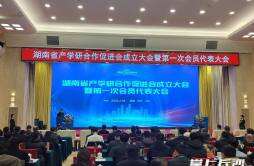 构建协同创新平台，湖南省产学研合作促进会在长沙成立