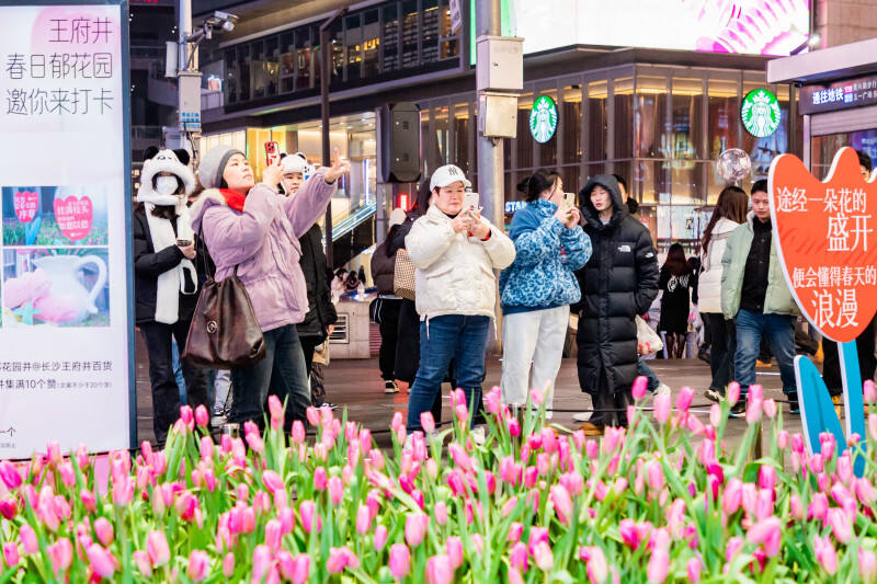 市民游客纷纷对着“街头春日”打卡拍照。长沙王府井百货 供图
