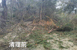 长沙黑麋峰国家森林公园3月9日恢复开园