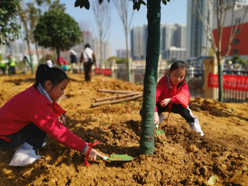 小志愿者正在细心为新栽树木培土浇水。长沙晚报全媒体记者 颜家文 摄
