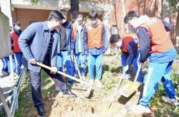 新区中小学开展植树活动