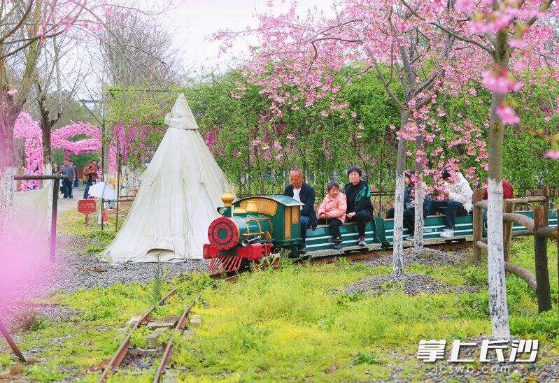 坐上开往春天的小火车。