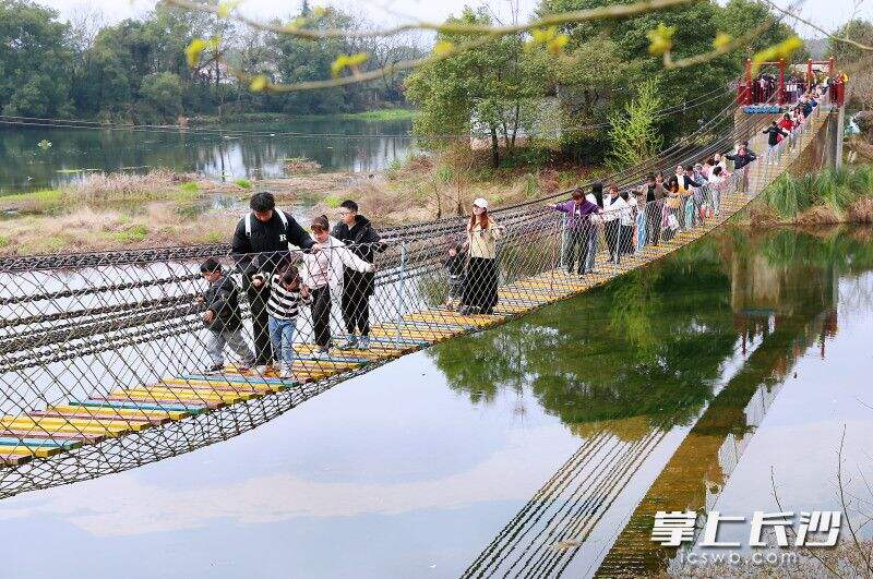 景区内“网红桥”等众多游乐项目受到游客追捧。