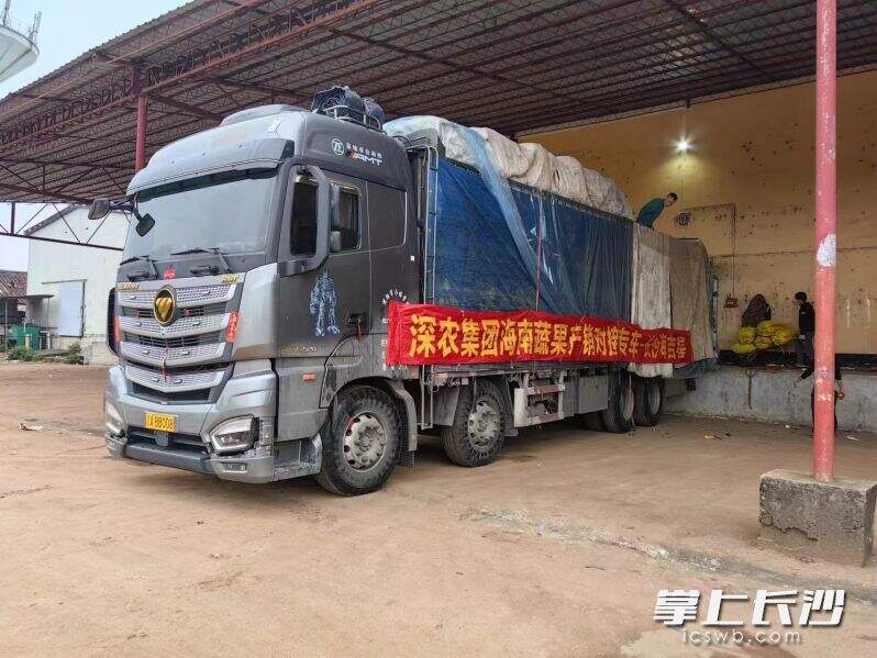 来自海南的蔬菜运输大货车抵达长沙黄兴海吉星国际农产品物流园。
