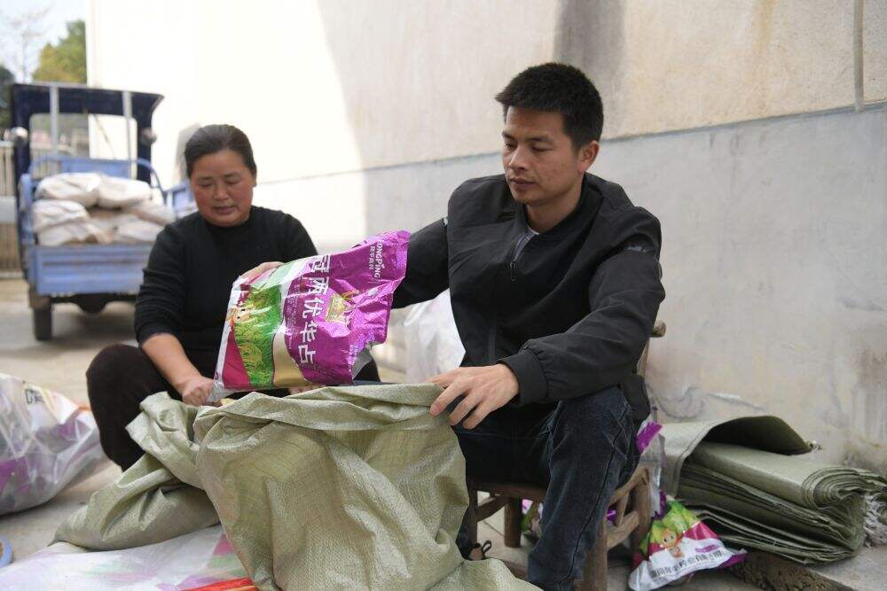 3月21日，在鼎城区谢家铺镇，戴宏（右）在做浸种前的准备工作。（陈欢 摄）
