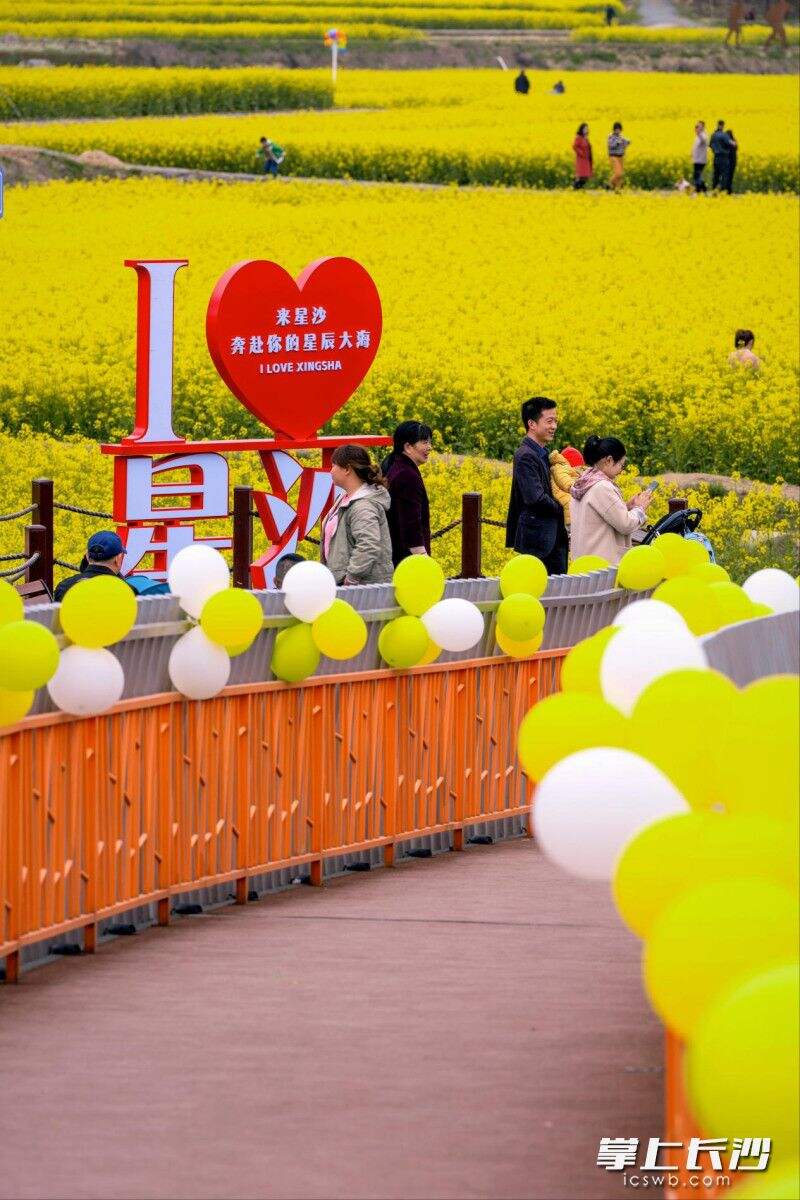 游客在福临镇观赏油菜花。均为长沙县文化旅游体育广电局供图