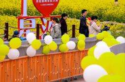 长沙县：“赏花经济”助推文旅消费“长红”