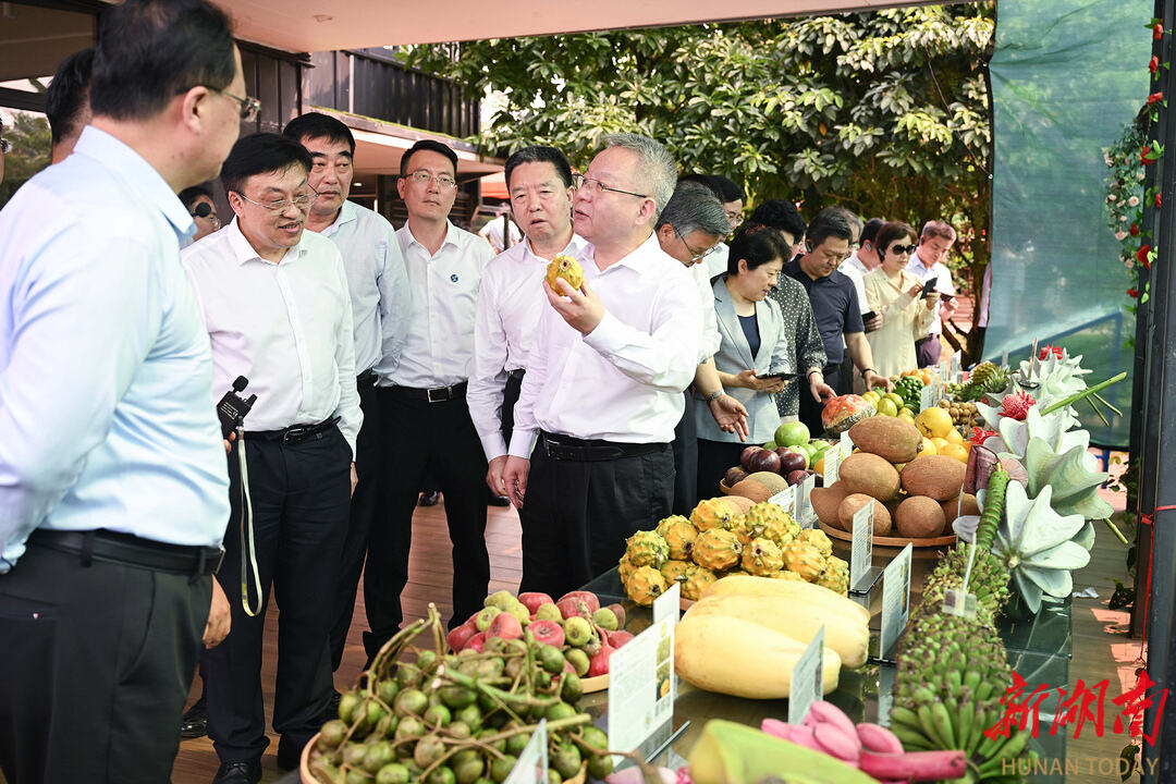 4月7日，湖南省党政代表团考察了世界热带水果之窗。