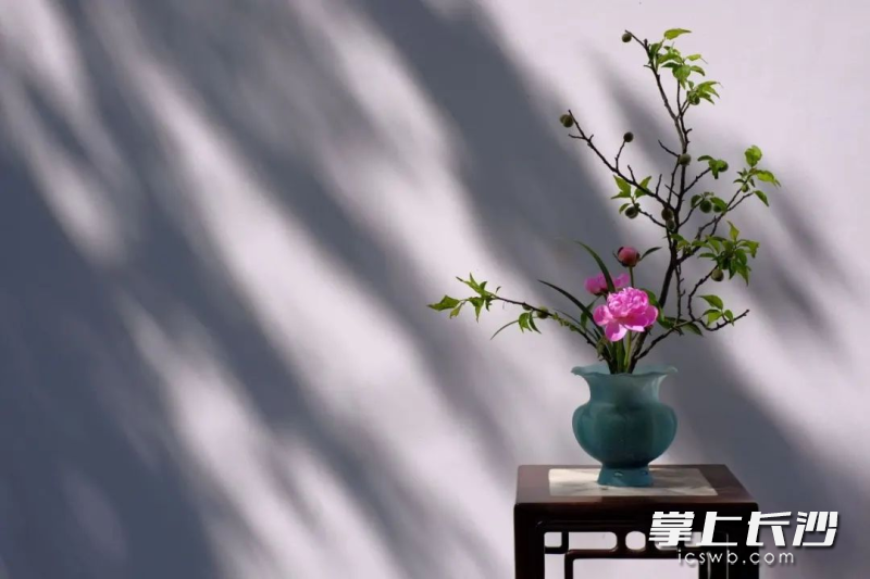 罗黎波的中国传统插花作品。