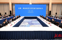 湖南省党政代表团赴安徽学习考察
