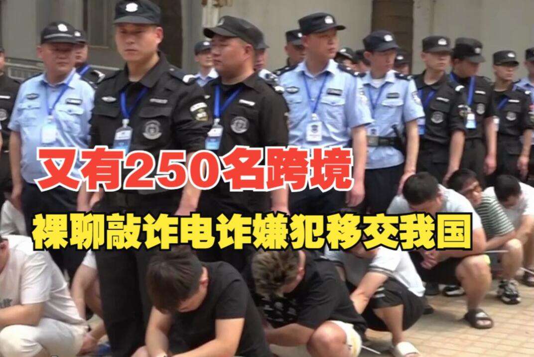 250名电诈嫌犯被移交中国