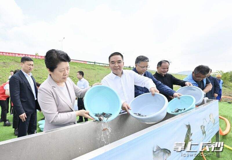 吴桂英在湘江枢纽鱼类增殖放流站开展增殖放流活动。