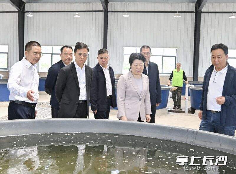 吴桂英调研湘江枢纽鱼类增殖放流站。