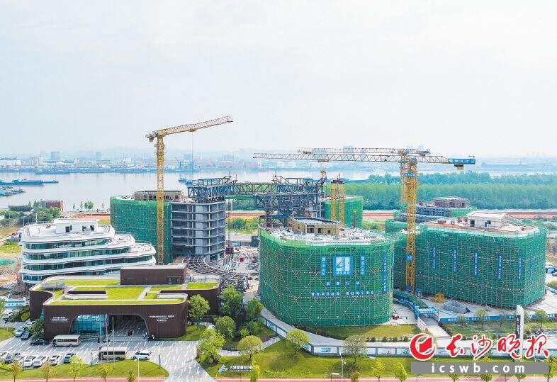 大泽湖研发中心一期已经完成主体建设，如七艘满载城市未来与发展希望的巨轮巍然矗立湘江岸边。邹麟 摄
