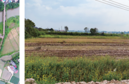 890亩“走失”耕地重新回归，浏阳市自然资源局持续加大耕地恢复和“春苗行动”工作力度