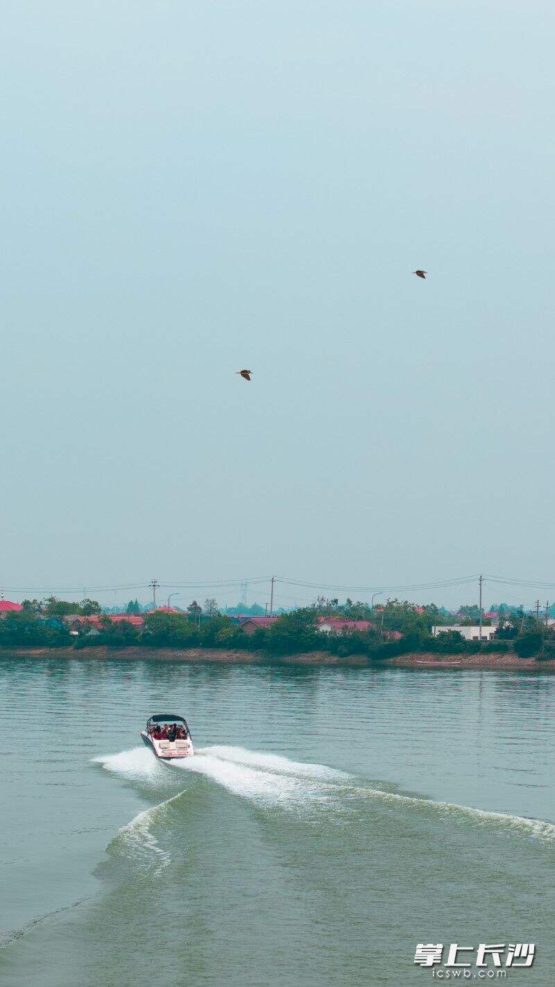 靖港镇千龙湖景区可体验游艇。长沙晚报全媒体记者 邹麟 摄