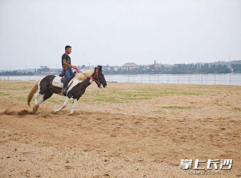 靖港镇千龙湖景区体验骑马。
