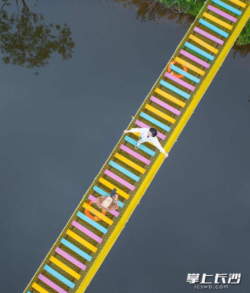 茶亭镇海棠湾沐溪庄园的彩虹桥吸引游客打卡拍照。长沙晚报全媒体记者 邹麟 摄