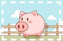 财运生肖猪2024 2024年属猪的财运和运气如何
