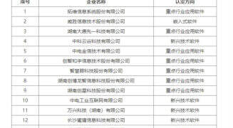 软件业的硬实力！新区13家企业入选2024湖南省重点软件企业