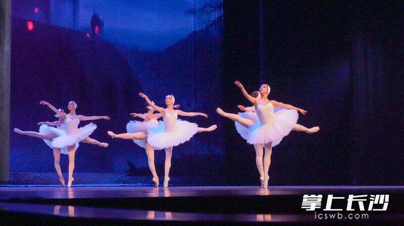 5月7日晚，湖南青年芭蕾舞团联合湖南湘江交响乐团制作的芭蕾舞剧《天鹅湖》世界巡演在长沙首演。均为长沙晚报全媒体记者 何文瑞 摄