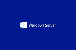 微软发布 Windows Server 2025 LTSC 新预览版