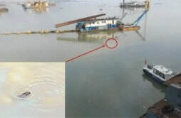 督察组暗访发现有江豚被困油污 当地官员:是条大青鱼