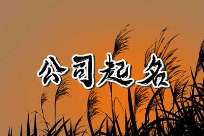 有创意的旅游公司名字 顺口好记的旅游公司名字