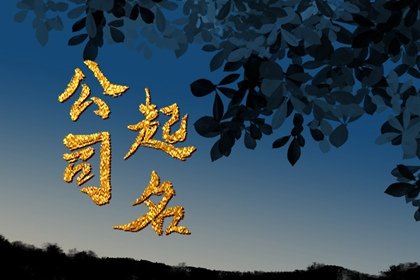 大气好记广告的公司名字 有创意的广告公司名字