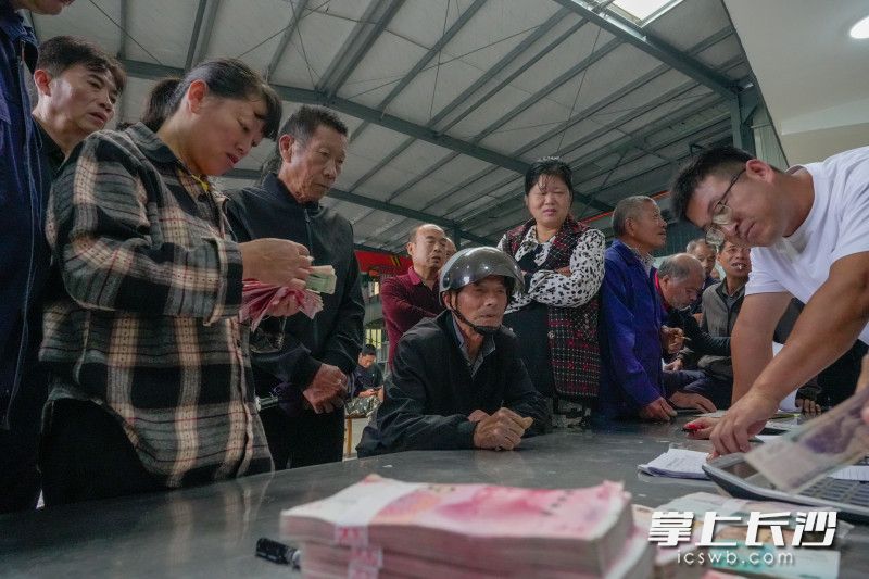 在大山深处的黑麋峰村烟笋产业化基地，百余名村民集聚在这里领取连日来的挖笋工资。均为全媒体记者 陈飞摄