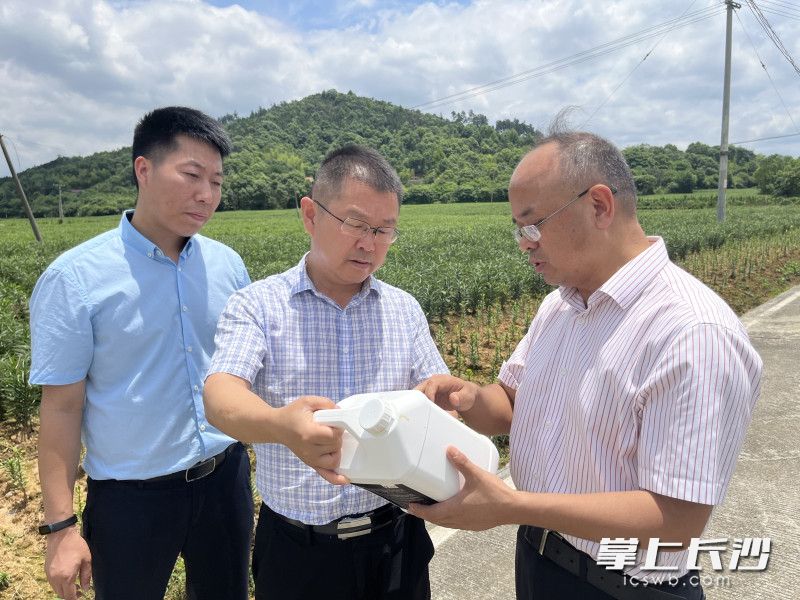 雨花区农业农村局、跳马镇、雨花区驻龙山石牌镇帮扶工作队组织省市区农业专家教授和技术人员，深入田间地头指导百合种植农户。