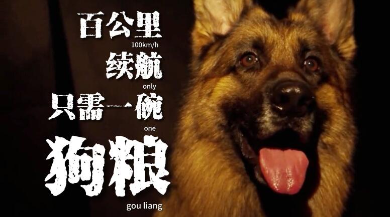 警犬宣传片