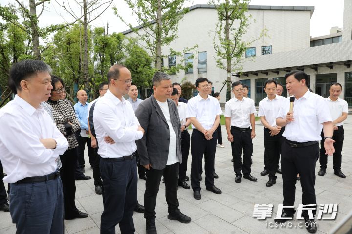 长沙市政协开展改善生态环境专项民主监督主席会议视察陈刚参加