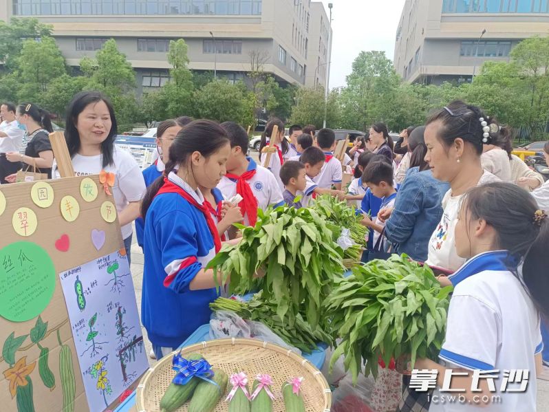 家长和路过市民纷纷购买“雷小锋”种的蔬菜。