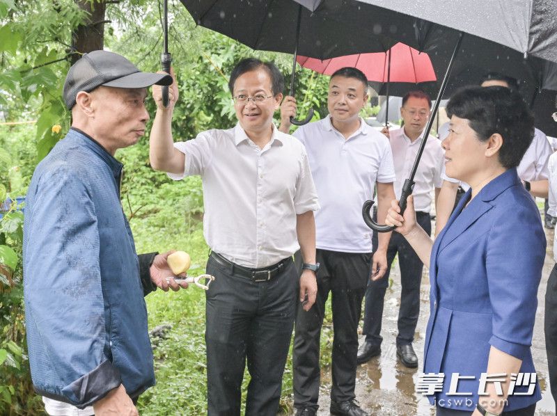 吴桂英在青竹湖街道霞凝港社区湘江堤滩洪水风险区随机走访沿岸居民，了解防汛备汛有关情况。