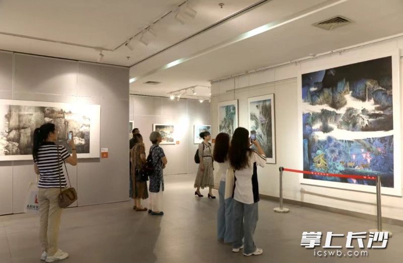 观展现场。