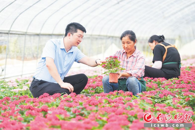 6月19日，安沙花卉产业示范园内，童紫威（左）在和花农交流。 均为长沙晚报全媒体记者 王志伟 摄