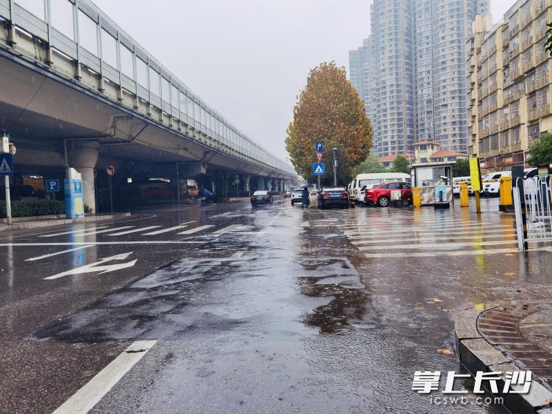 当日暴雨天气下，实施改造后的毛家桥市场门口毫无积水。 长沙晚报通讯员 史静波 供图