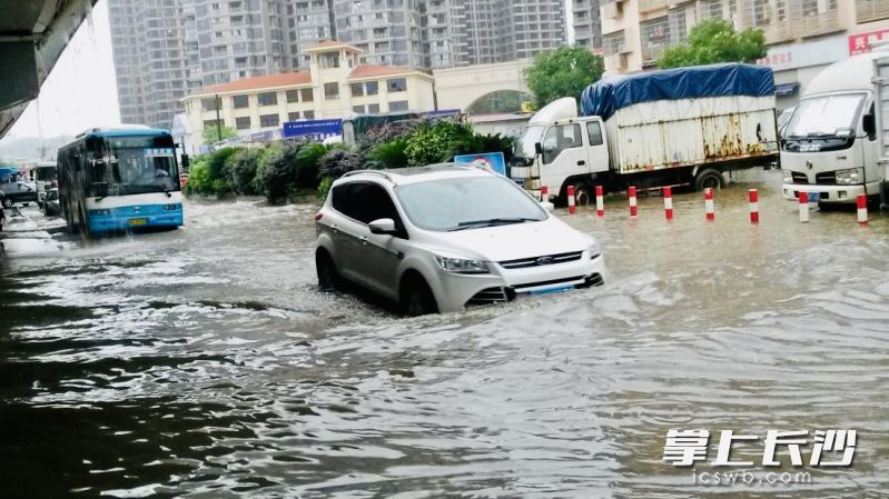 往年暴雨天气毛家桥市场门口积水难行。资料图